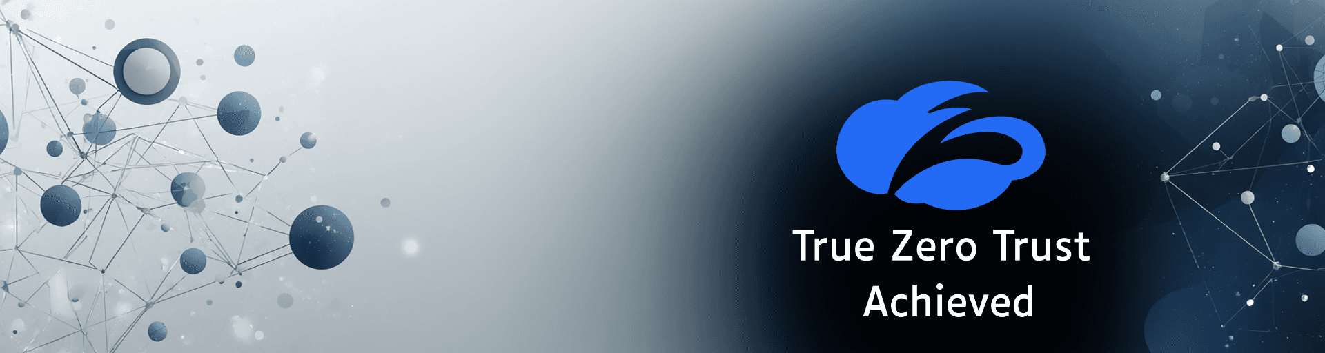 Managed Zscaler Services